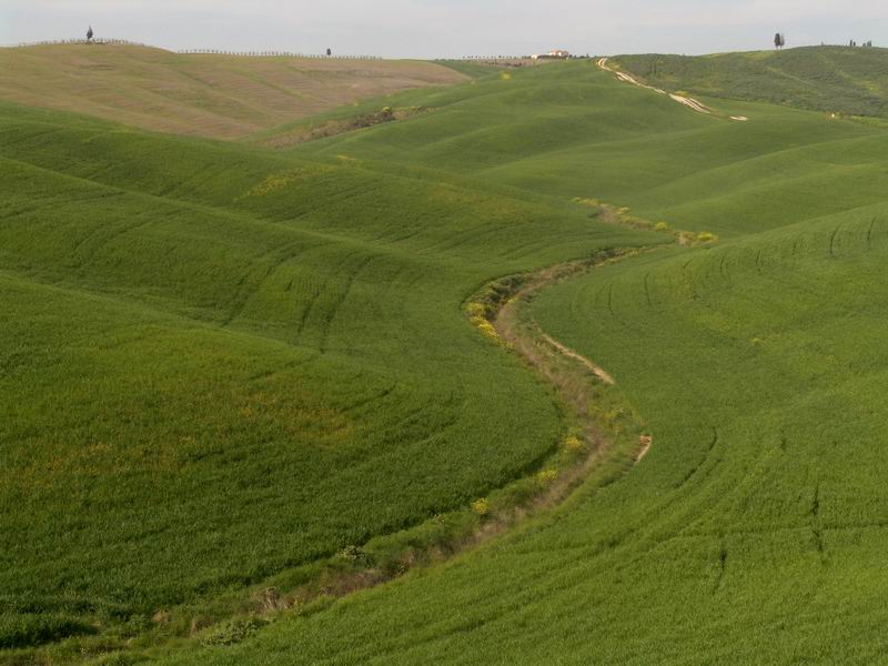 Terra di Siena